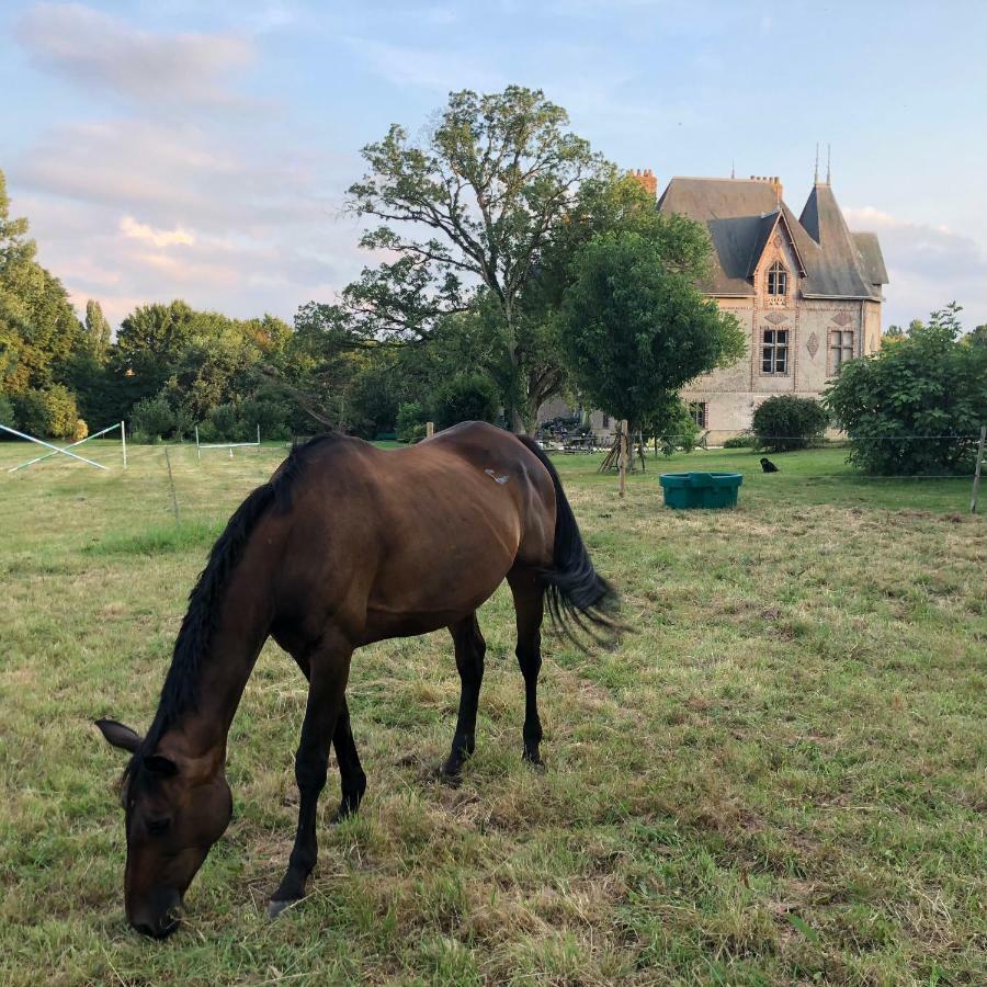 Montreuil-sur-Maine Manoir De La Chouanniere 빌라 외부 사진
